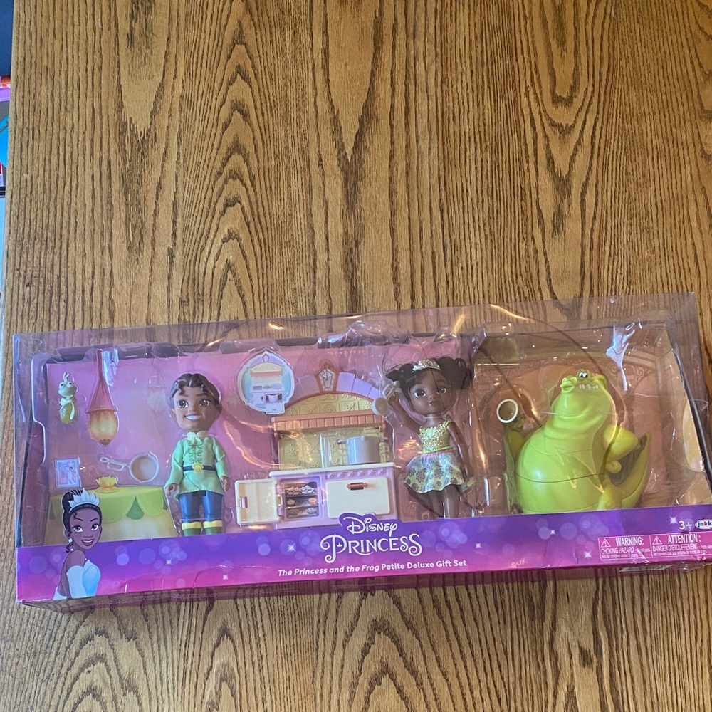 Disney Princess Tiana and Friends Play Set